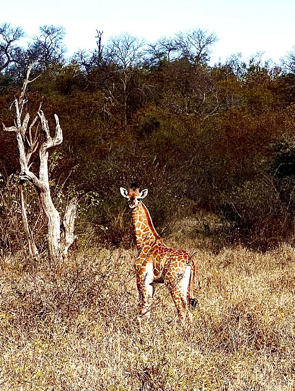 Timbuktu Travel has the professionals who care.