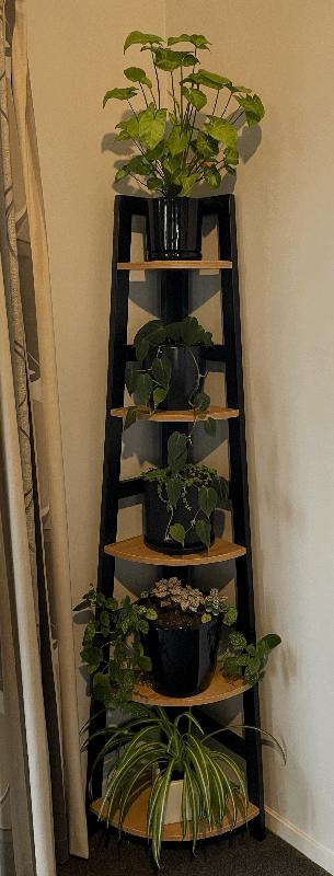 Awesome corner shelves - they look fab!!  :)