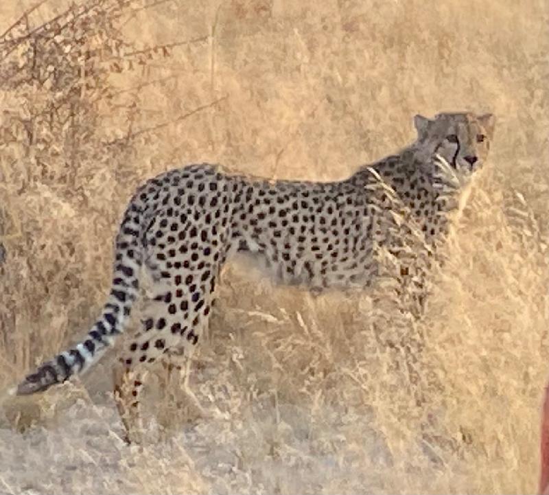 Africa is Amazing!!!