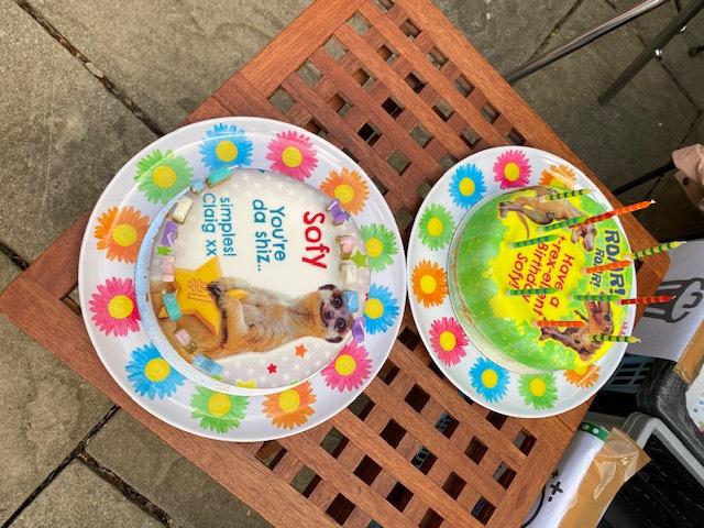 A cakelicious triumph!