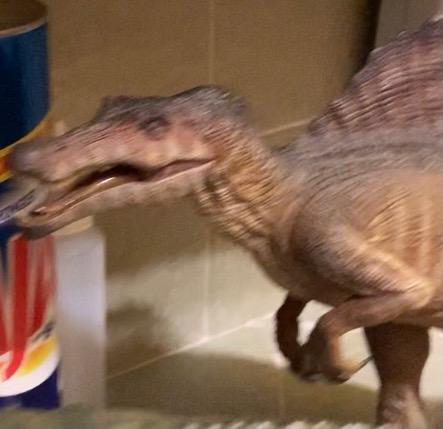 I absolutely love Everything Dinosaur