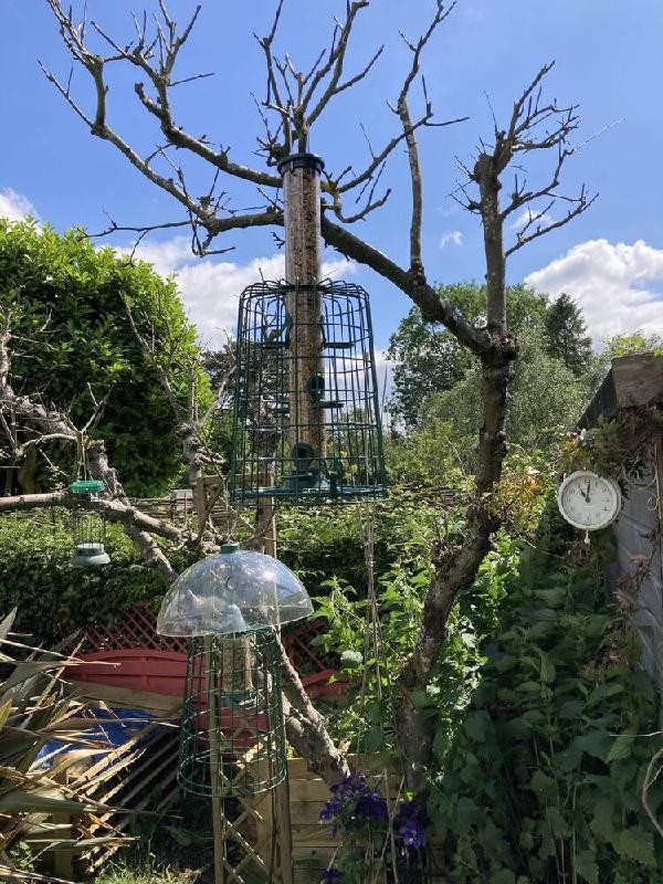 Feeder Guardian Cages