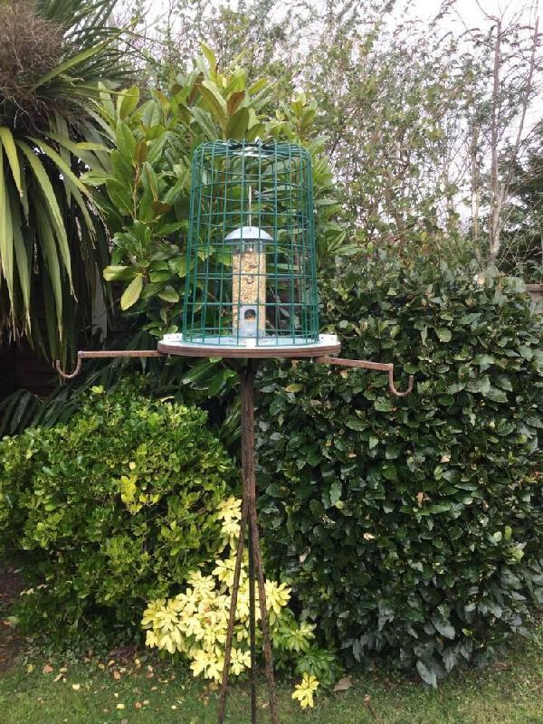 Feeder Guardian Cages