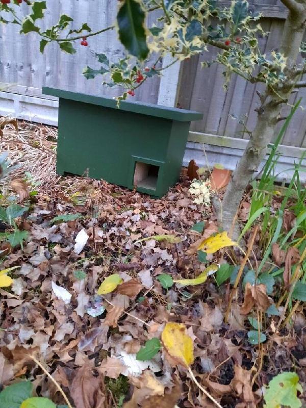 Eco-plate Hedgehog House