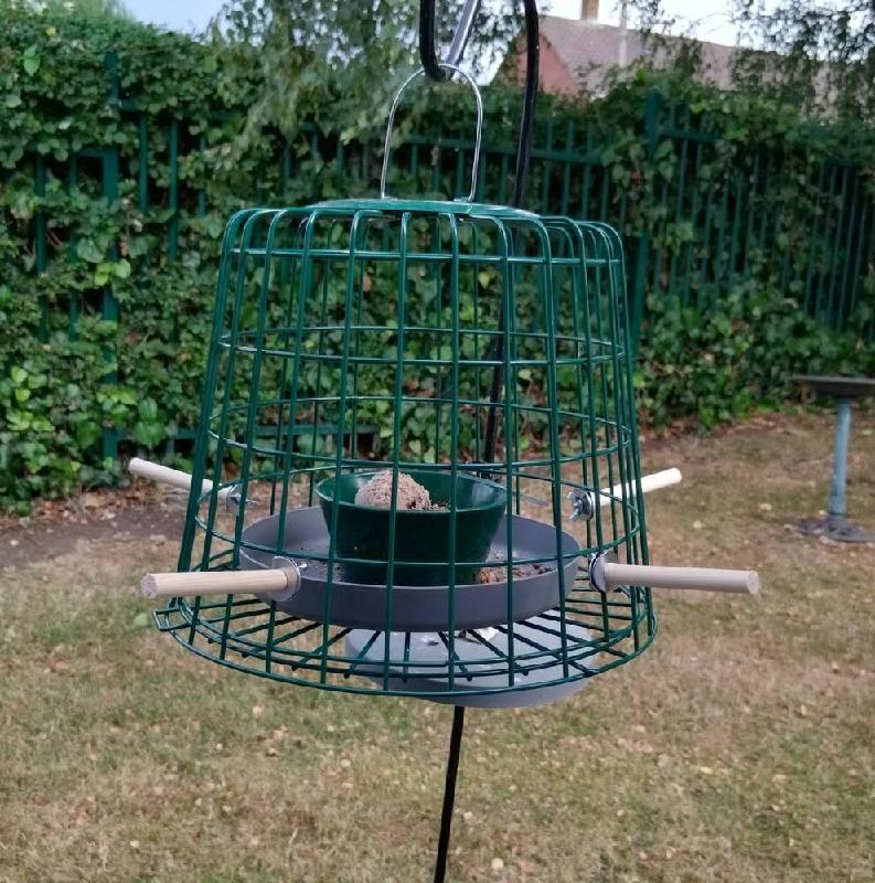 Suet Pellet & Mealworm Guardian Bird Feeder