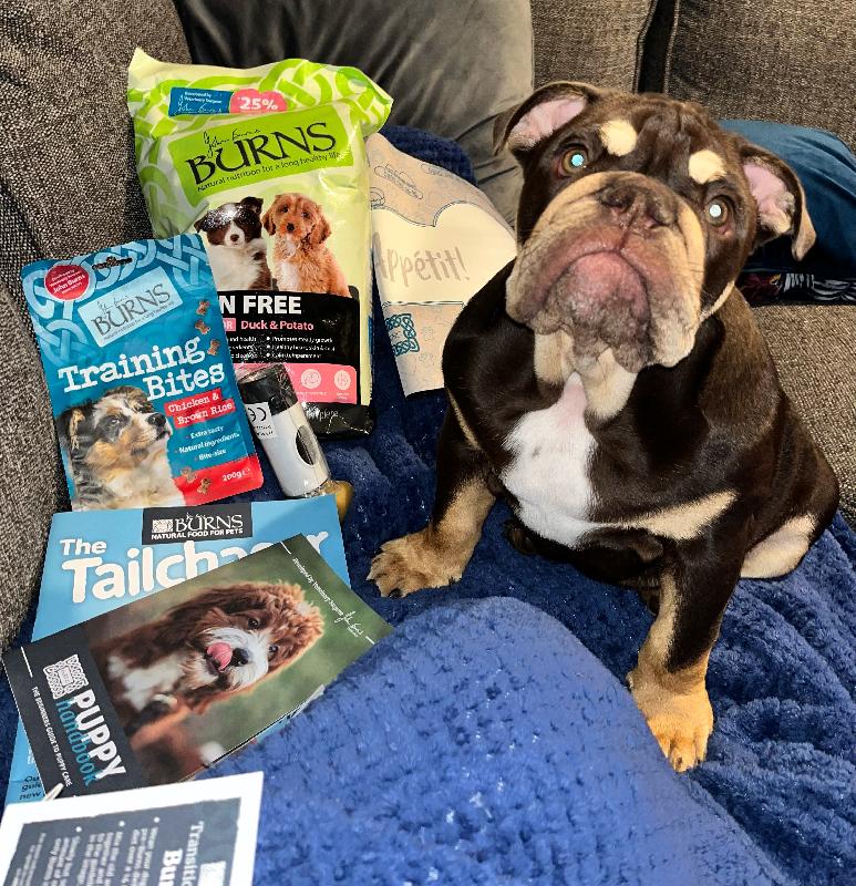 Bertie Boe loved his BURNS puppy pack