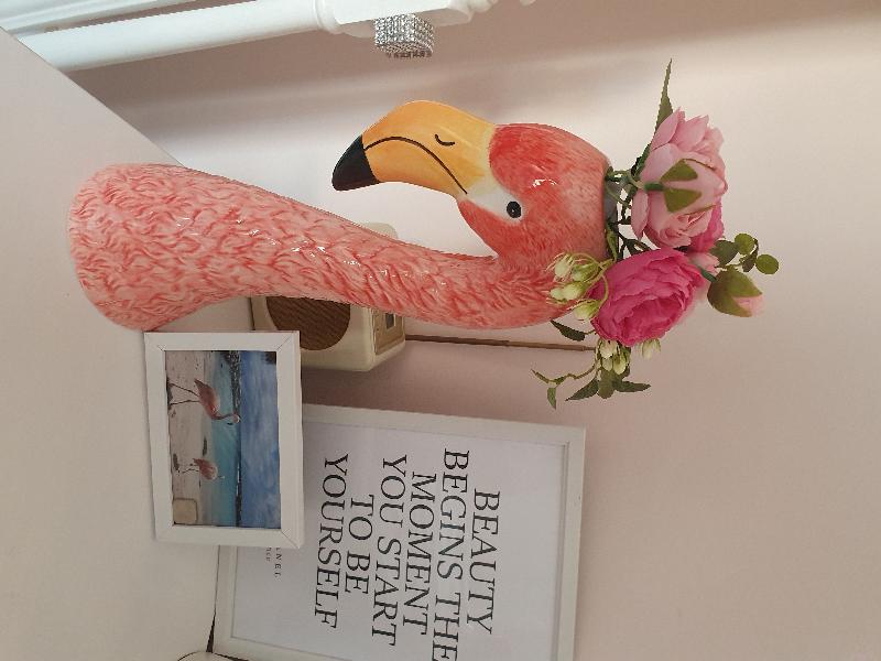 Fabulous Flamingos 🦩😍