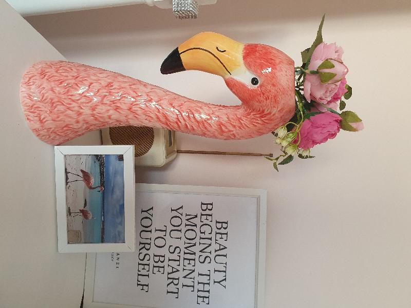 Fabulous Flamingos 🦩😍