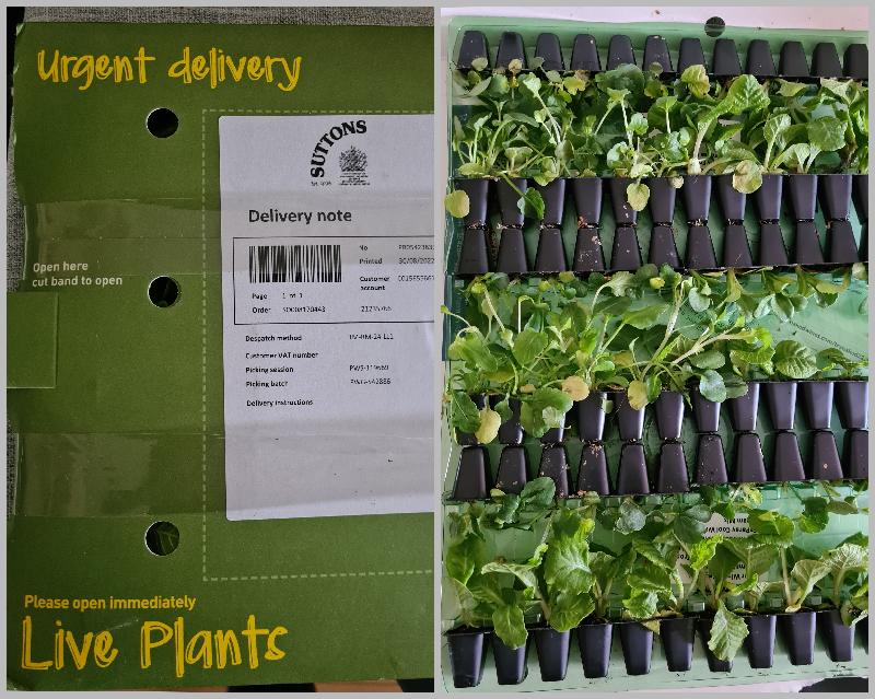 Good quality and price