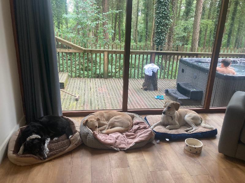 Did not want to leave…….