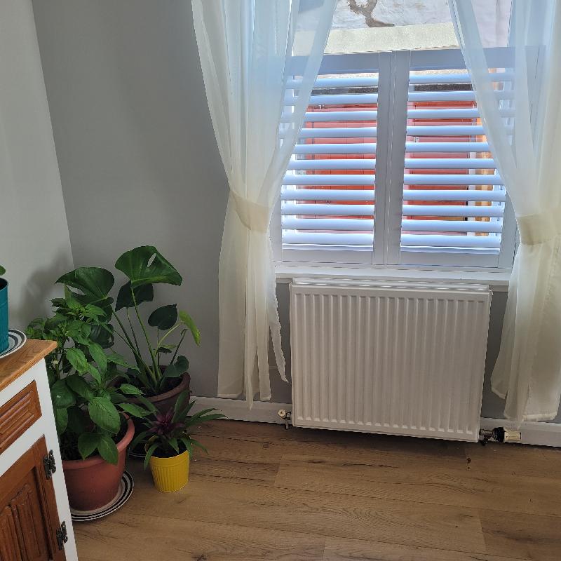 The Perfect Shutters