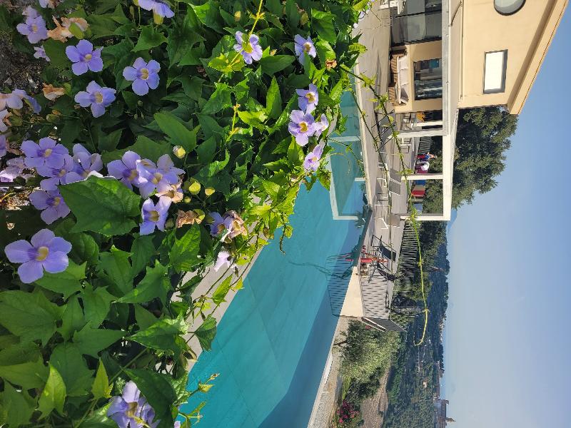 Beautiful property