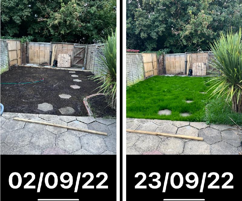 Perfect for fast growth and colour is beautiful