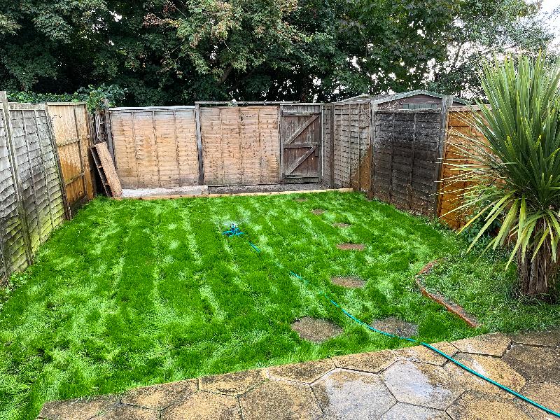 Perfect for fast growth and colour is beautiful