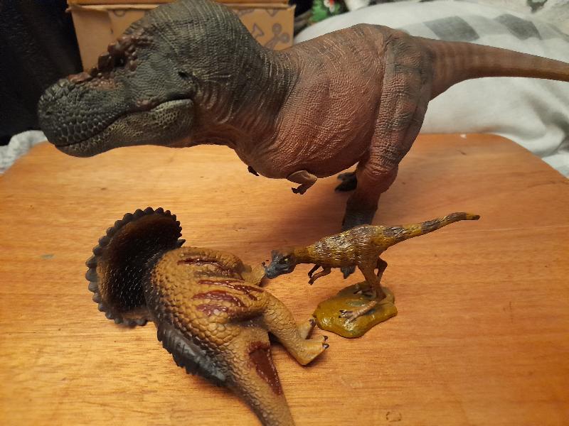 A* service,fantastic and best place to prehistoric animal toys and models