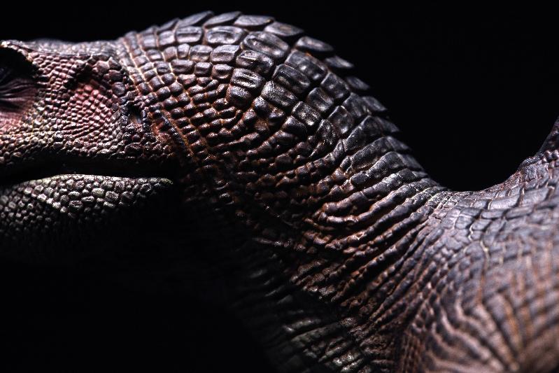 One of the most genuine and reliable shops online for dino models