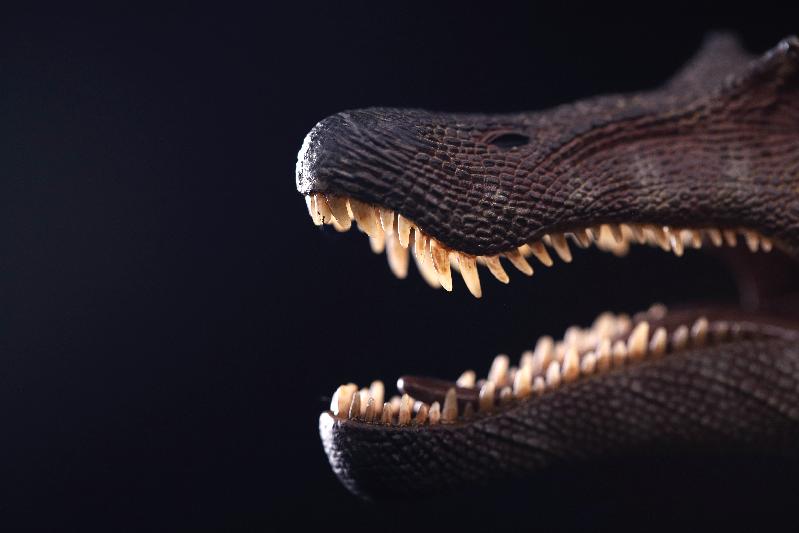 One of the most genuine and reliable shops online for dino models