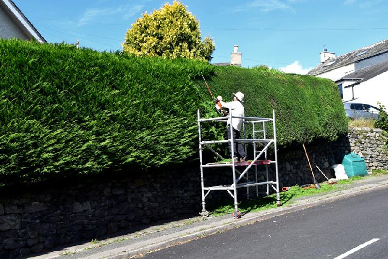 Hedge trimming made easy!