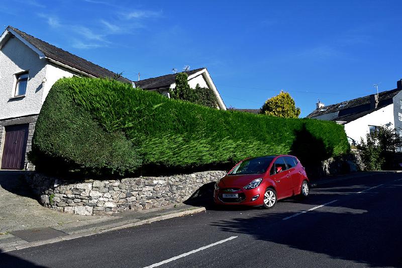 Hedge trimming made easy!