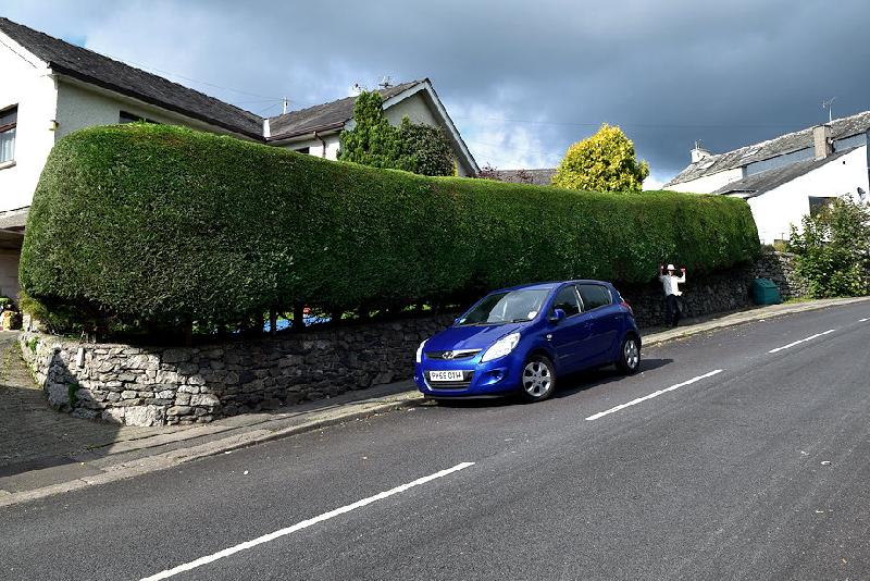 Hedge trimming made easy!