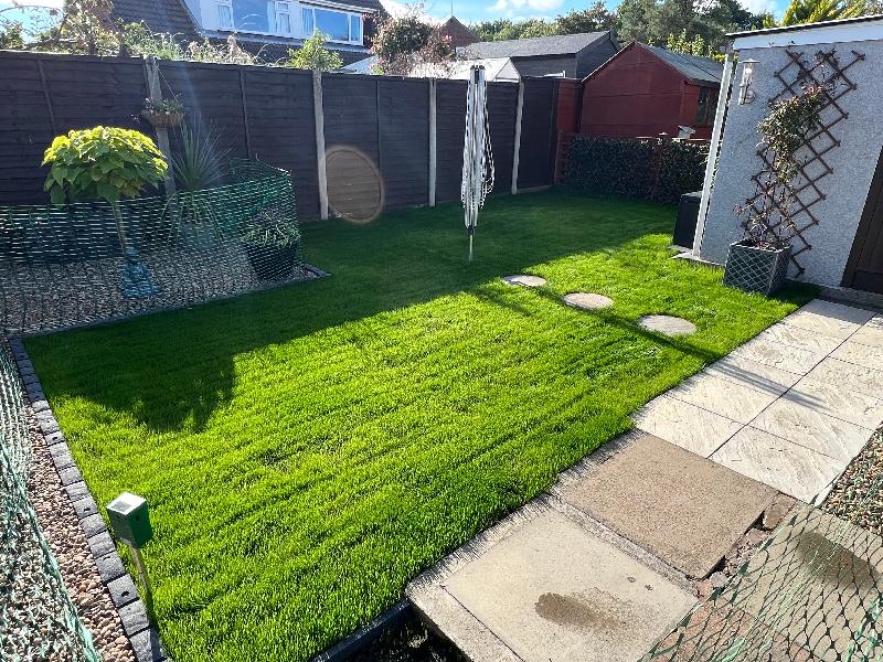 Grass made possible by excellent quality seed