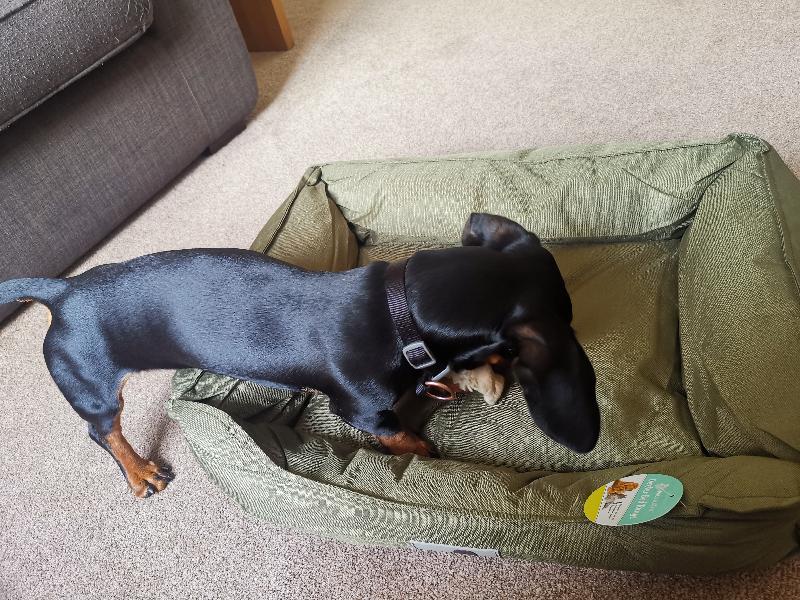Perfect pet bed.