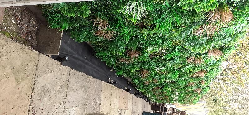 Bought to cover a fence close to window.