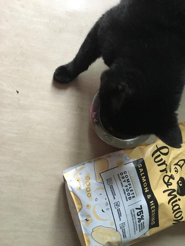 Purr and miaow biscuits