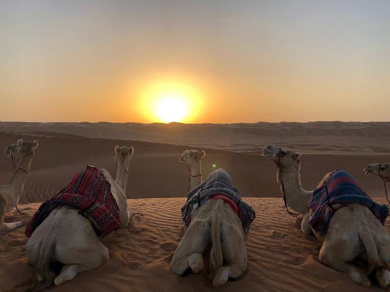 Oman 360°