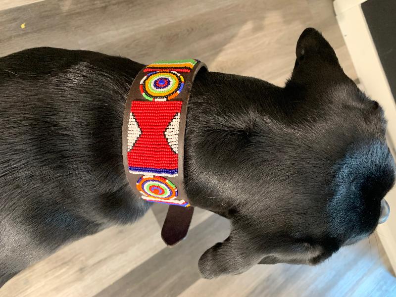 The Only Collars I Buy For My Dogs