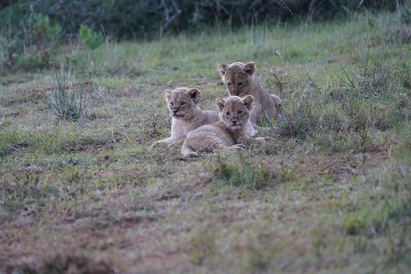 Best trip of our lives, thanks to Go2Africa!!