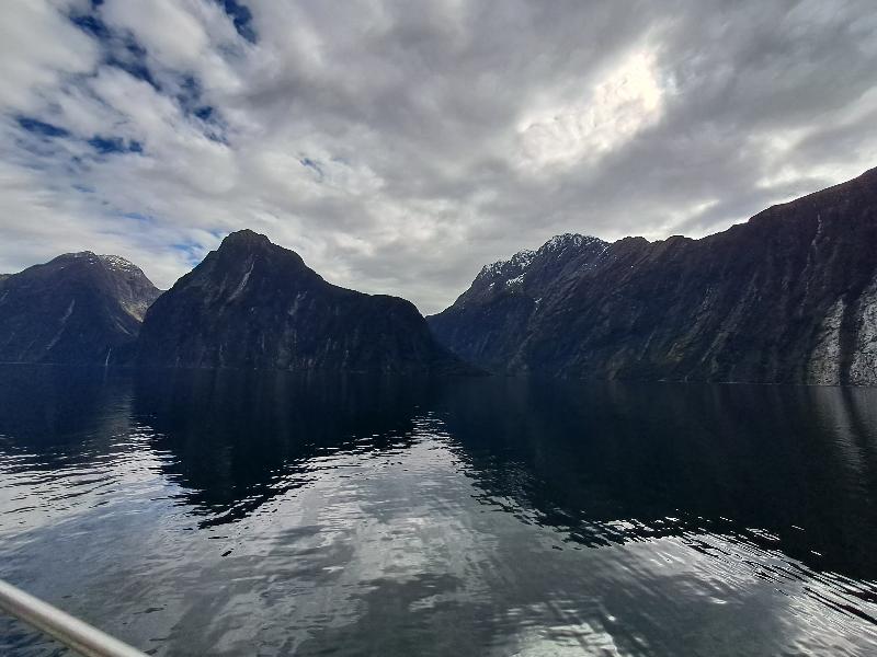 Milford sound ,boat trip and tea at farm