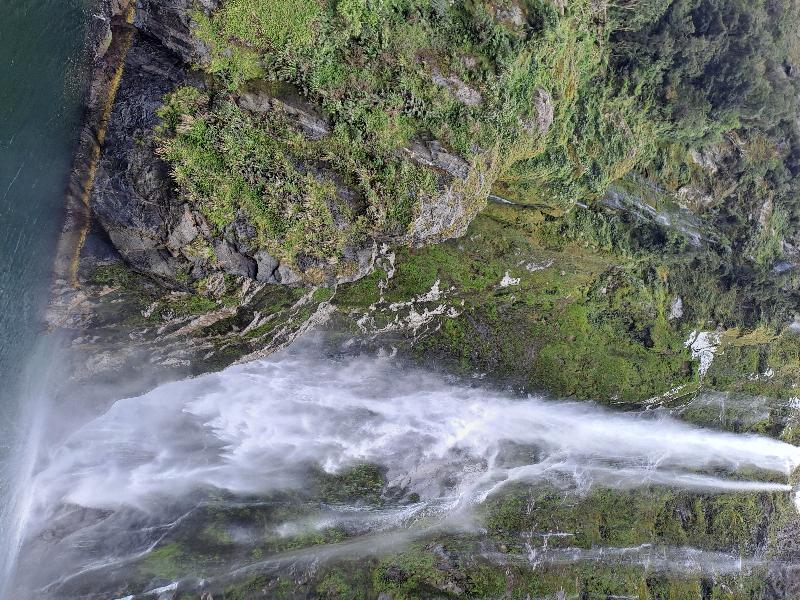 Milford sound ,boat trip and tea at farm