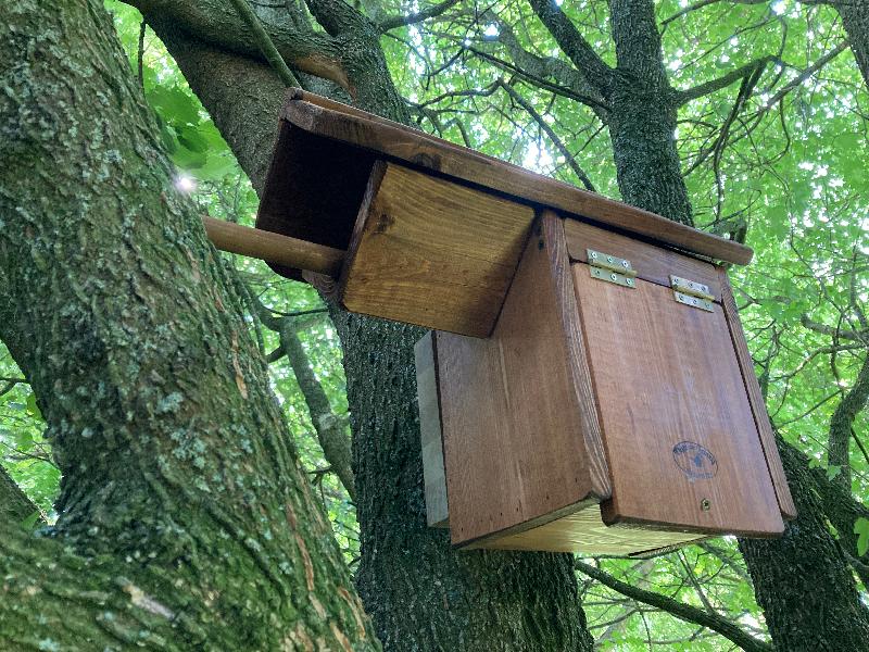 The best-value, correctly designed little owl nest box I could find
