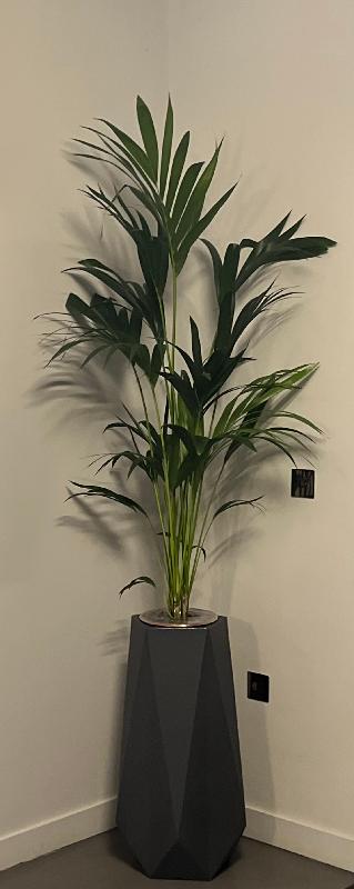 Amazing pots, looking for some time to locate style and design