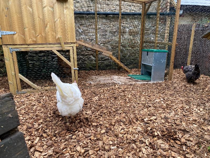 Really pleased with the hardwood chippings !
