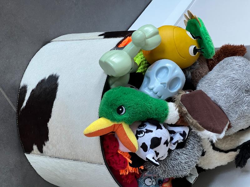 Stylish and amazing quality… perfect solution to my dog toy problem!