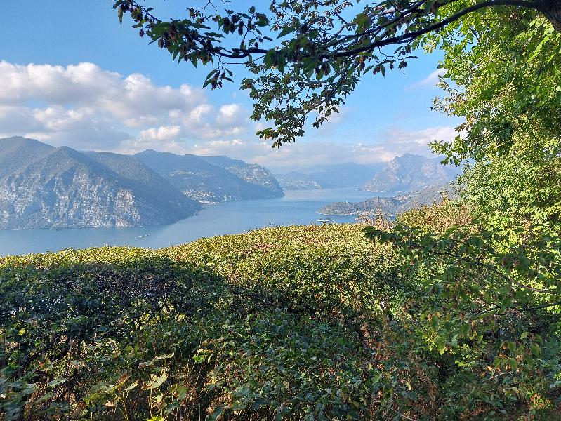 A combination of luxury and scenic beauty!