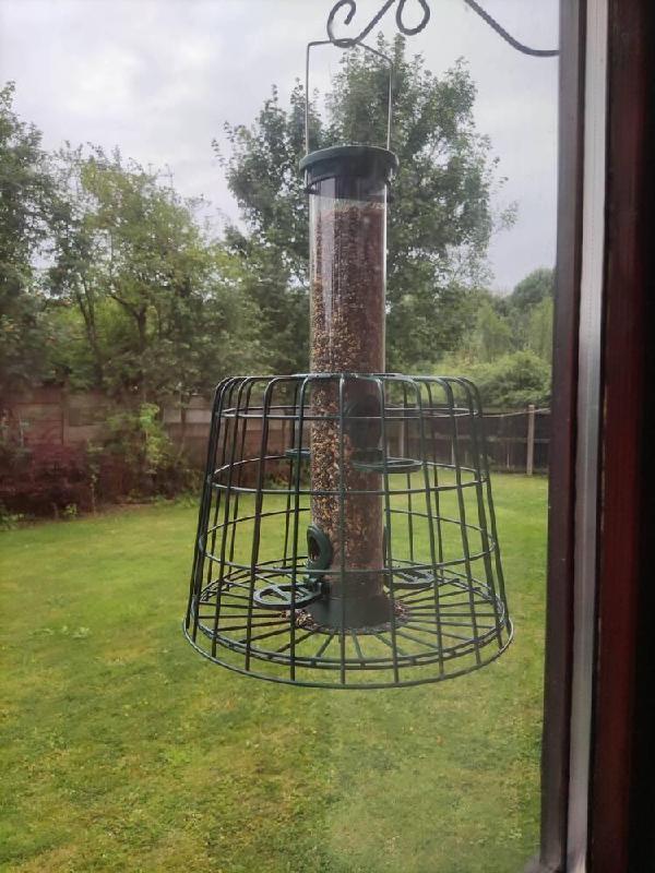 Feeder Guardian Cages