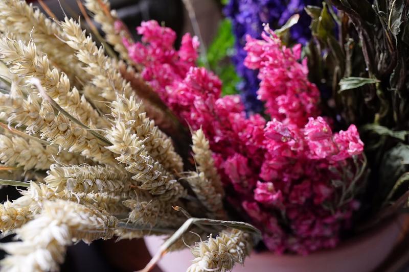 Lovely flowers