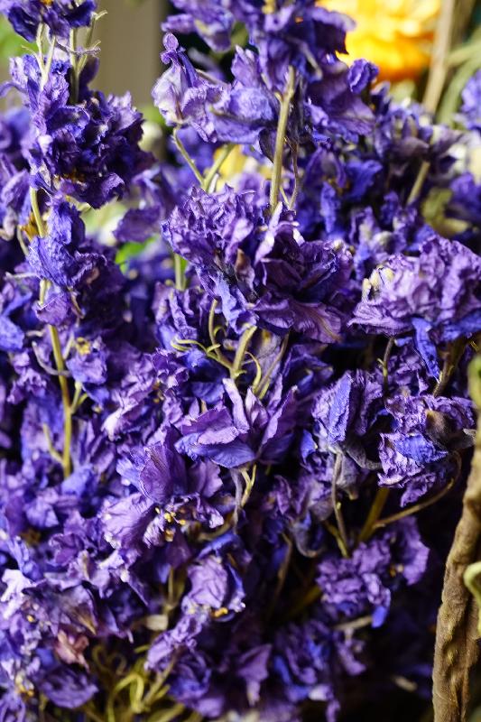 Lovely flowers
