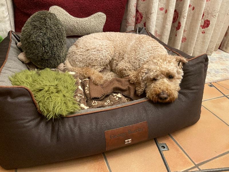 Extremely comfy well made bed.