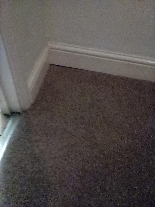 Excellent price for a web back carpet ,I'll be ordering more for livingroom