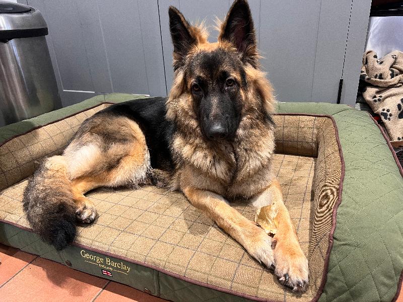 Large sofa bed