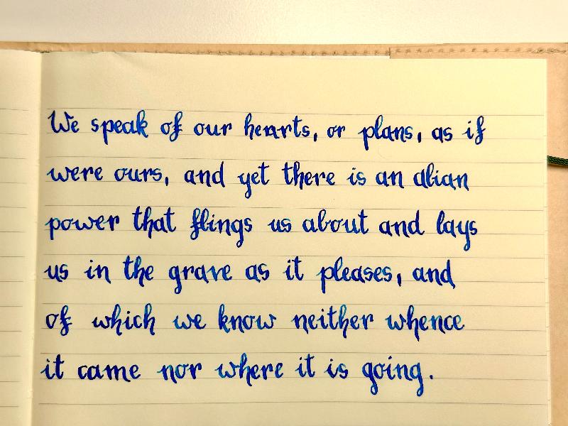 Flex nib is just amazing!
