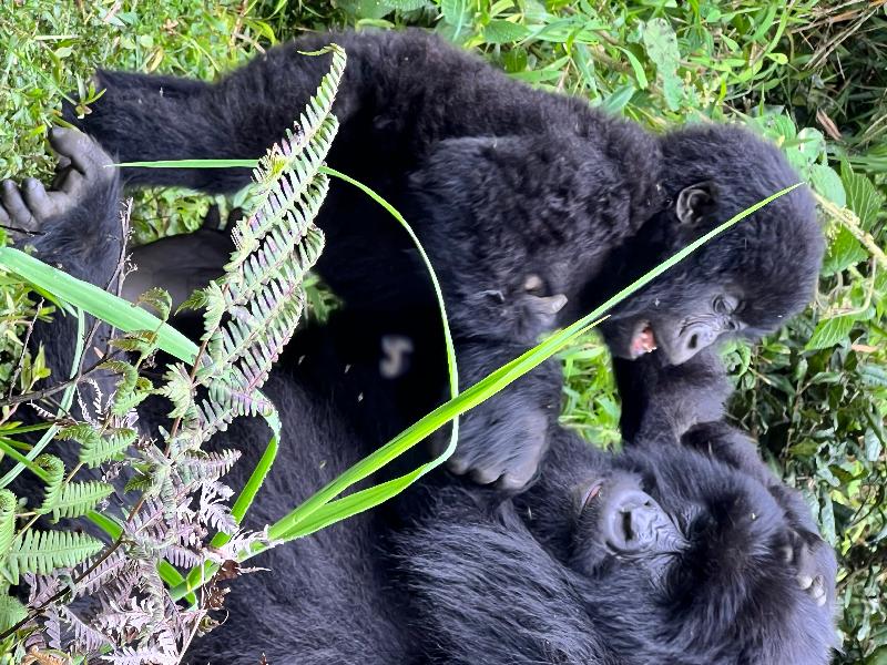 Magic and awe experienced in Africa