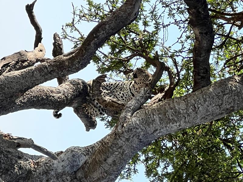 Magic and awe experienced in Africa
