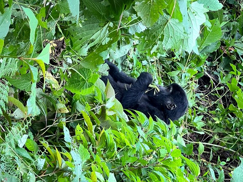 Magic and awe experienced in Africa