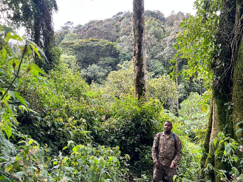 Magic and awe experienced in Africa