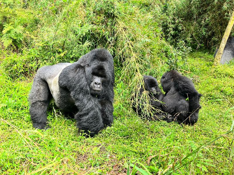 Magic and awe experienced in Africa